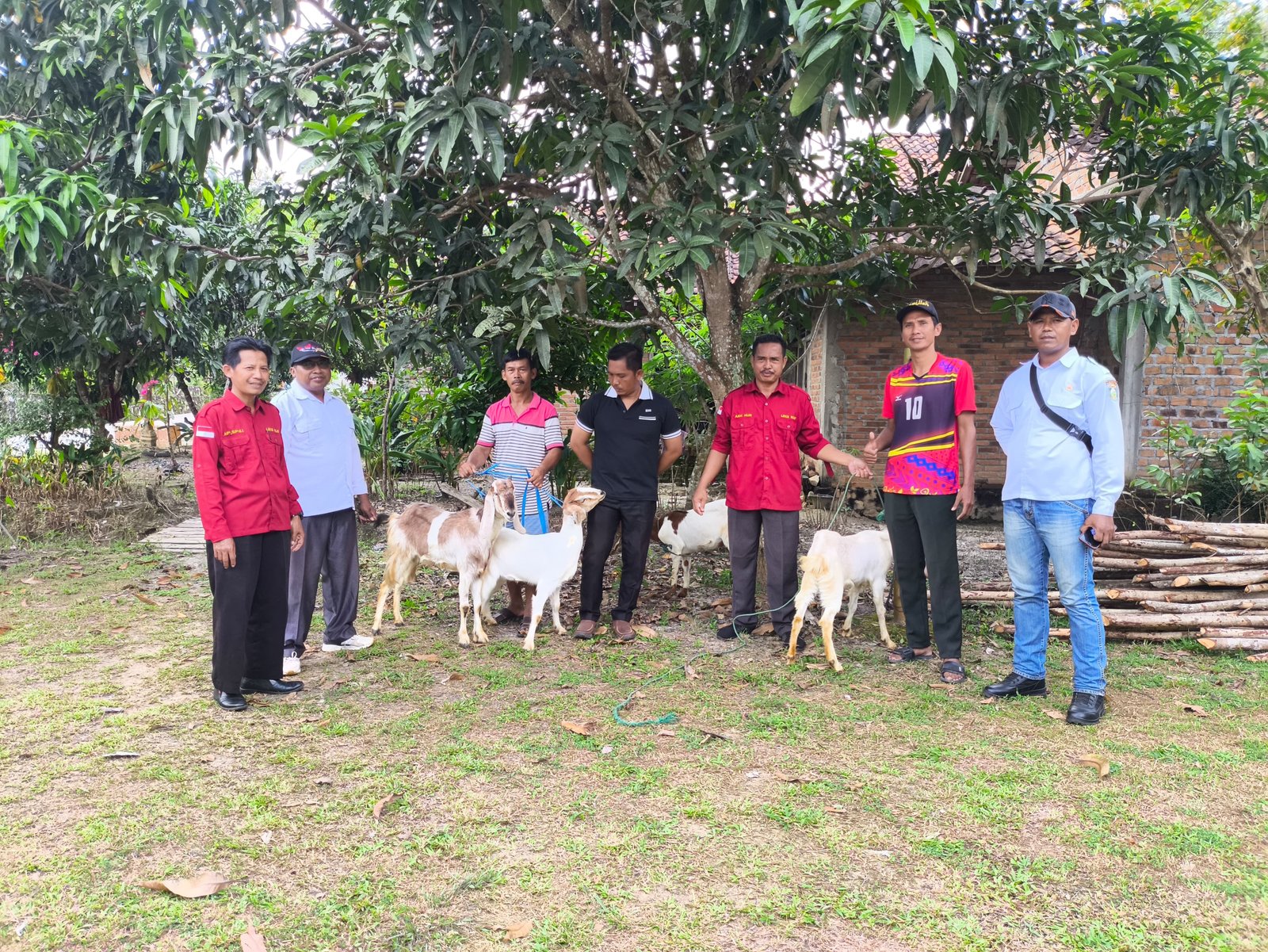 Kegiatan 5
